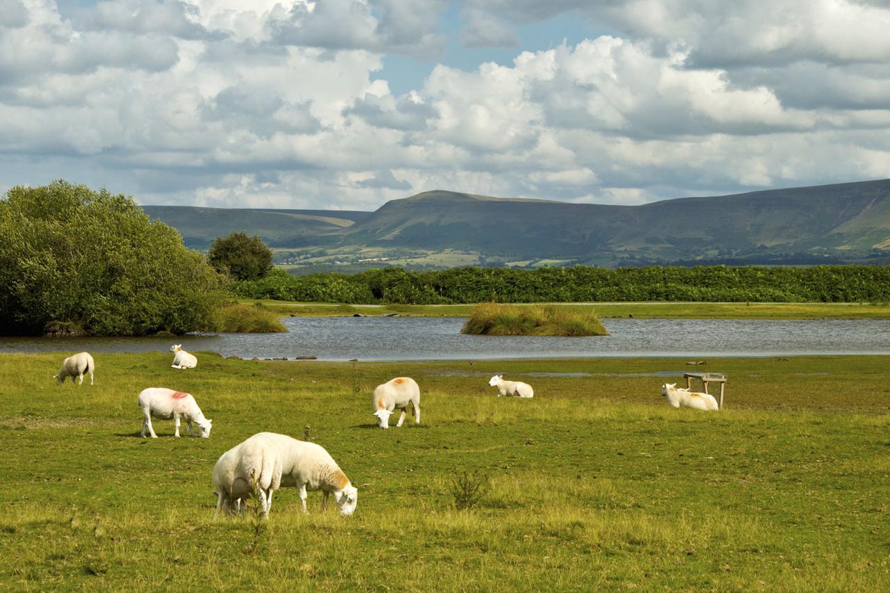 Llangorse Brynderwen B&B 외부 사진